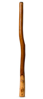 Peter Sherwood Didgeridoo (NV116)
